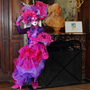 Images raw carnaval Breteuil 2013 n004