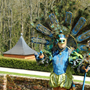 Images raw carnaval Breteuil 2013 n024