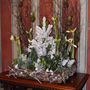 Chenonceau Noel 2014  n1