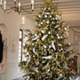 Chenonceau Noel 2014  n5