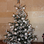Chenonceau Noel 2014  n6
