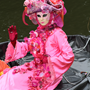Images raw carnaval Corbeil 2013 n200