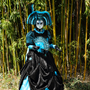 Images raw carnaval Soisy 2013 n063