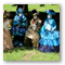 Images Savigny sur Orge 2013 n039