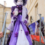 Carnaval Castres 2014 n1069