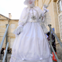Carnaval Castres 2014 n1073