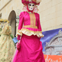 Carnaval Castres 2014 n096