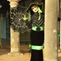 Carnaval Castres 2014 n1373