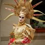Carnaval Castres 2014 n487