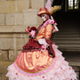 Carnaval Castres 2014 n514
