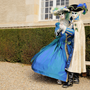 Carnaval Castres 2014 n568