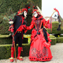 Carnaval Castres 2014 n703