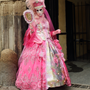 Carnaval Castres 2014 n733