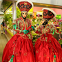 Carnaval Castres 2014 n791