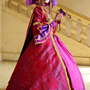 Carnaval Castres 2014 n842