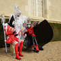 Carnaval Castres 2014 n880