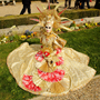 Carnaval Castres 2014 n892