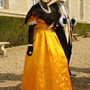 Carnaval Castres 2014 n907