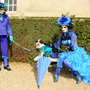Carnaval Castres 2014 n909