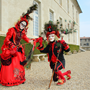 Carnaval Castres 2014 n927