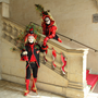 Carnaval Castres 2014 n945