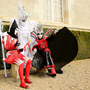 Carnaval Castres 2014 n881