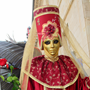 Carnaval Castres 2014 n979