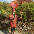 Carnaval Collonges la rouge n 282