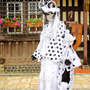 PHOT0028_1