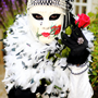 PHOT0118_1