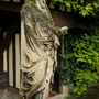 PHOT0008_1