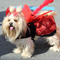 Mehun 2014 Les costumes dans la rue n035