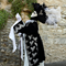 Mehun 2014 Les costumes au mur n038