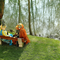 Mehun 2014 Les costumes au parc n004