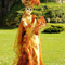 Mehun 2014 Les costumes au parc n036