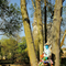 Mehun 2014 Les costumes au parc n044