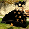 Mehun 2014 Les costumes au parc n054