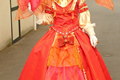 Divers costumes 2015 n21