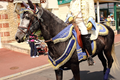 Le defile 2015 n039