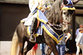 Le defile 2015 n048