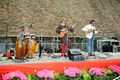 Les musiciens 2015 n05