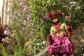Mehun 2015 Le parc n073