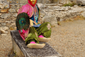 Mehun 2015 Le parc n44