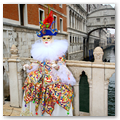 IMG_0535g