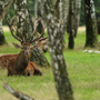 IMG_2011_09_24_6113
