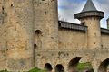 Cite de Carcassonne n103