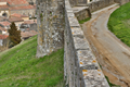 Cite de Carcassonne n142