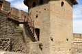 Cite de Carcassonne n020