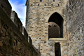 Cite de Carcassonne n137