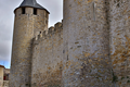 Cite de Carcassonne n141